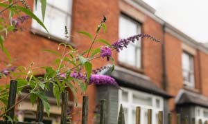 The Pankhurst Centre