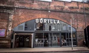 Gorilla